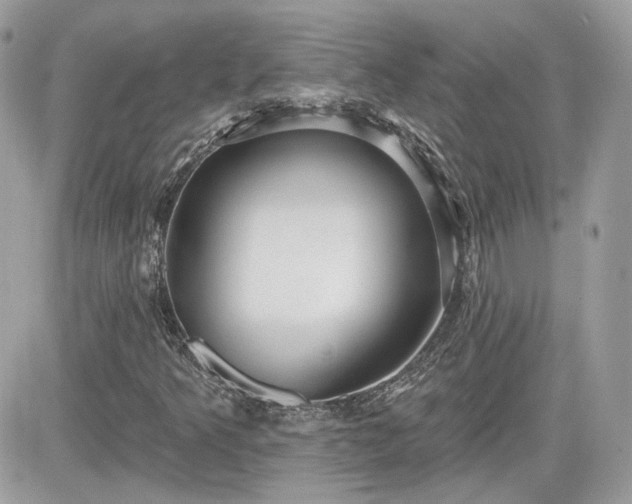 X0000081581349200701221018