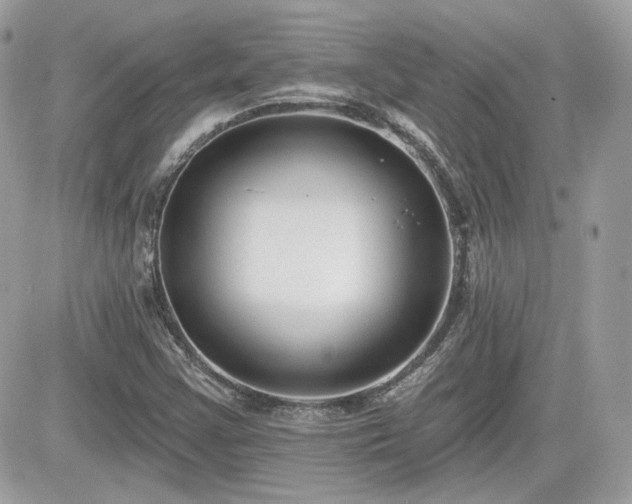 X0000081581355200701221018