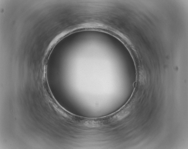 X0000081581366200701221017