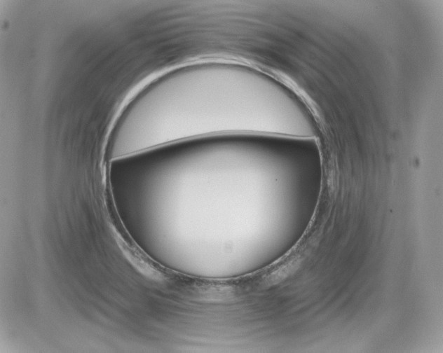 X0000081581372200701221017