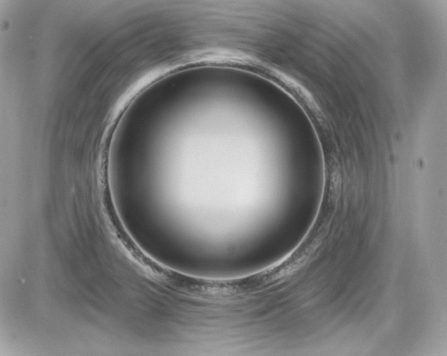 X0000081581375200701221017