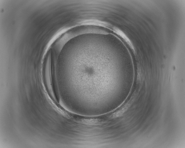 X0000081581376200701221017