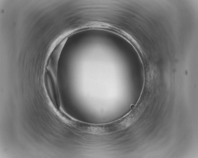X0000081581379200701221017