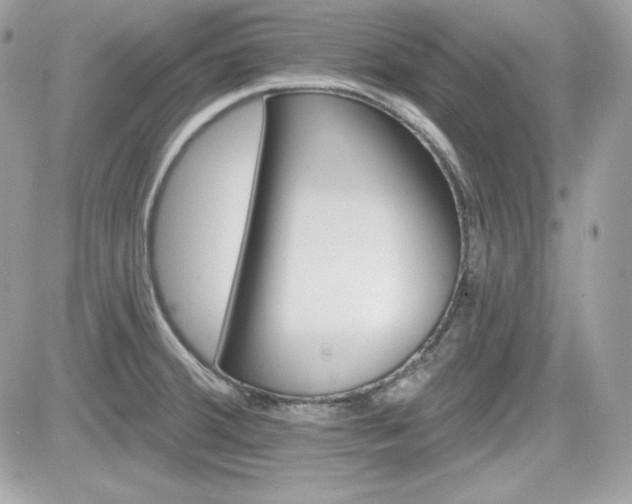 X0000081581380200701221017