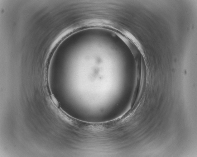 X0000081581384200701221017