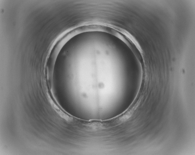 X0000081581388200701221017