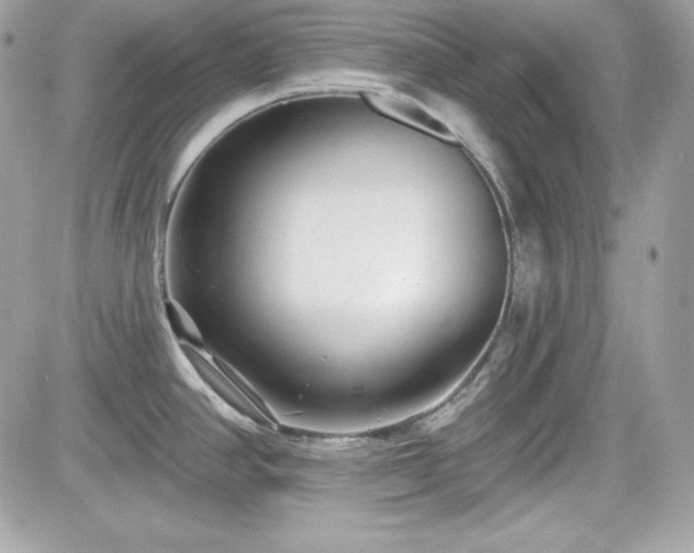 X0000081581390200701221017