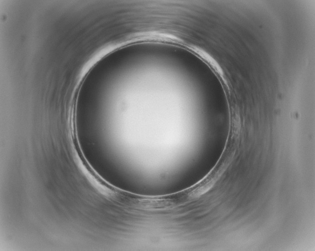 X0000081581391200701221017
