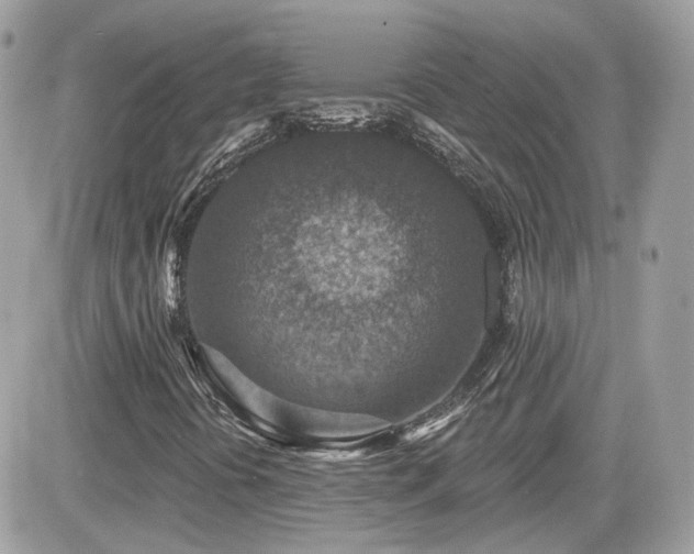 X0000081581394200701221016