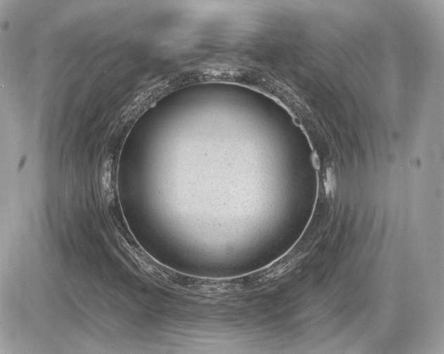 X0000081581396200701221016