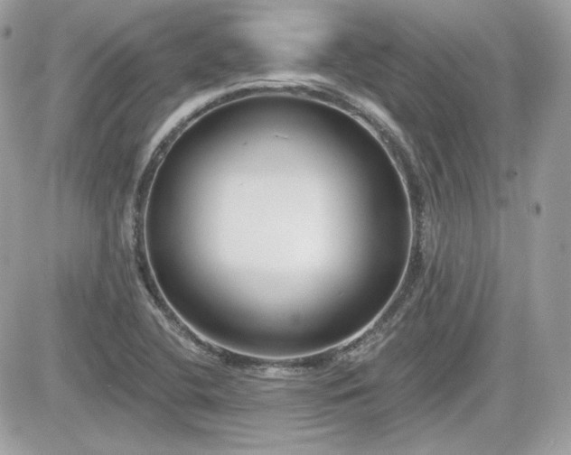 X0000081581412200701221016