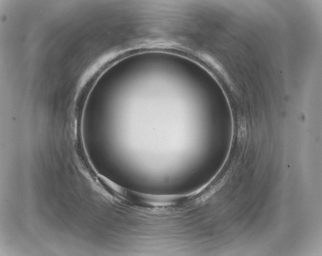 X0000081581414200701221016