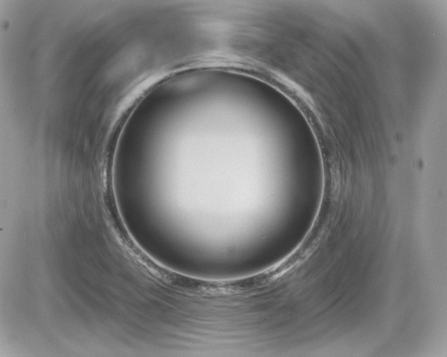 X0000081581415200701221016
