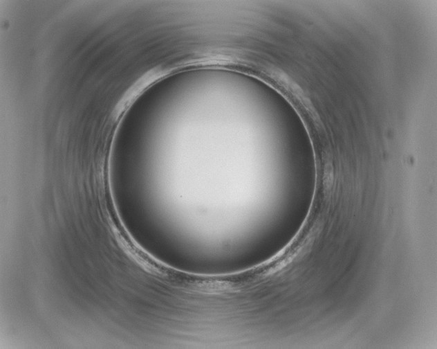 X0000081581417200701221017