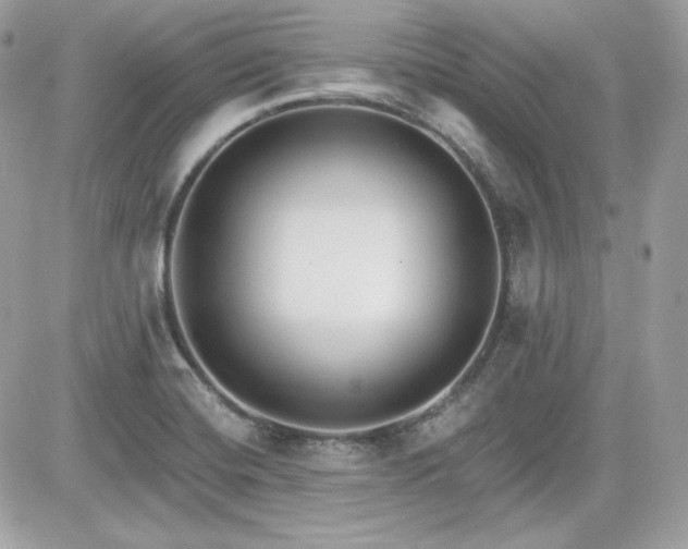 X0000081581420200701221017