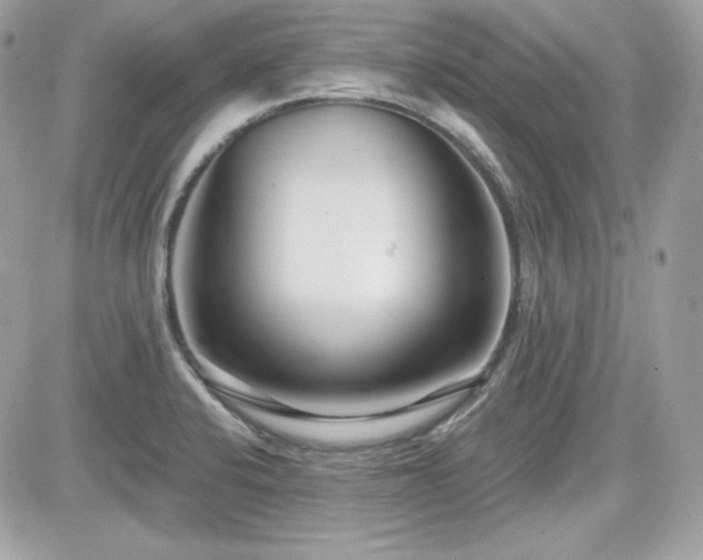 X0000081581424200701221017