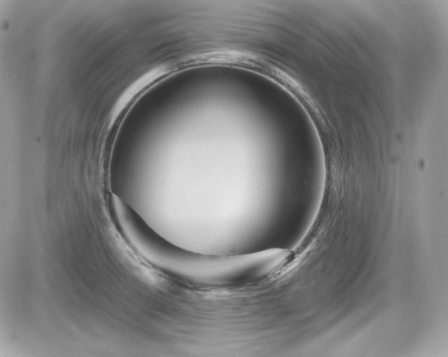 X0000081581426200701221017