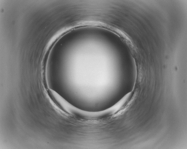 X0000081581430200701221017