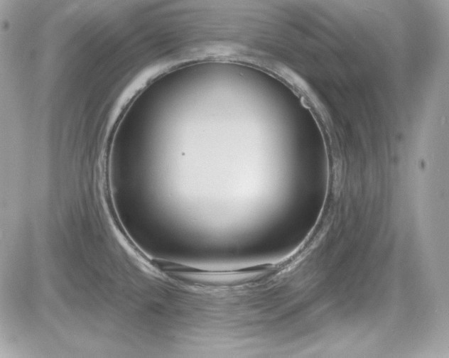 X0000081581432200701221017