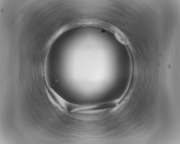 X0000081581433200701221017