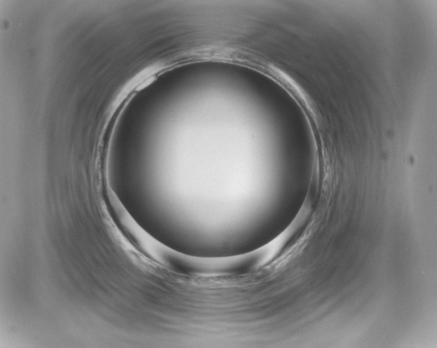 X0000081581434200701221017