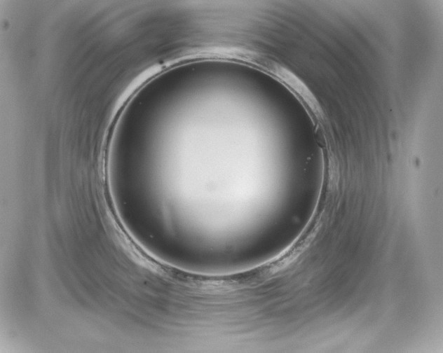 X0000081581436200701221017