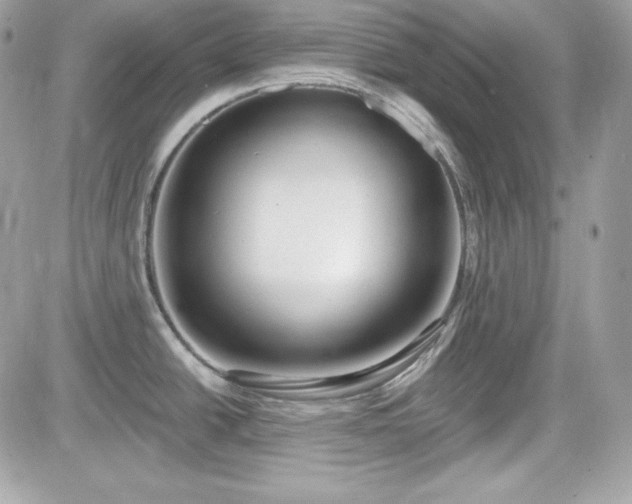X0000081581438200701221017