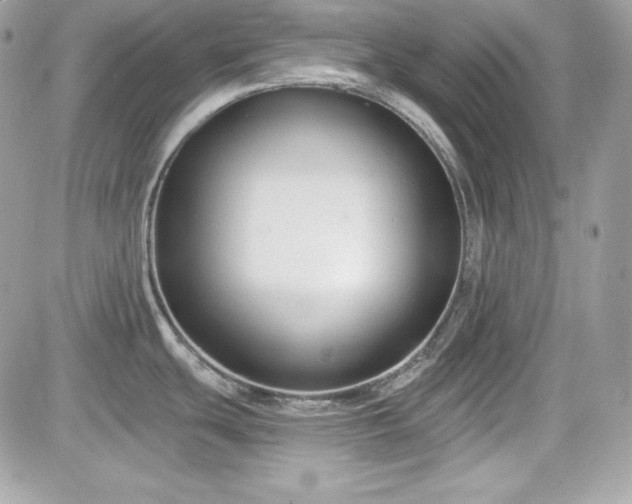X0000081581439200701221017