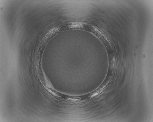 X0000081581441200701221016