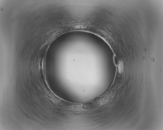 X0000081581444200701221016