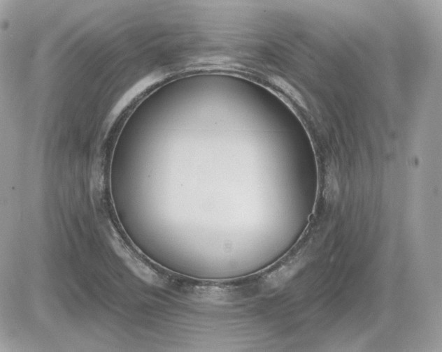 X0000081581458200701221016