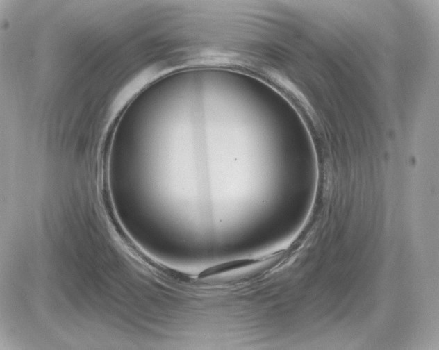 X0000081581467200701221016