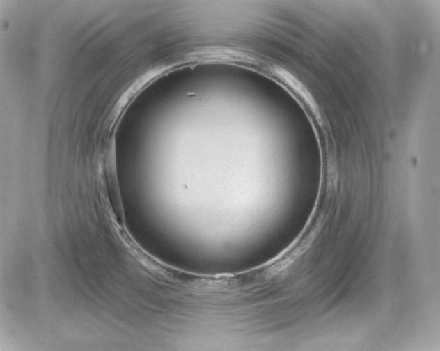 X0000081581481200701221015