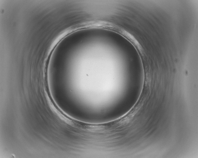 X0000081581483200701221015