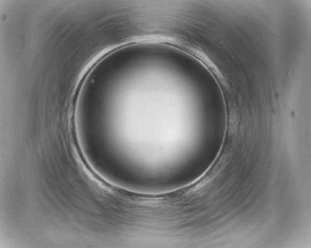 X0000081581484200701221015