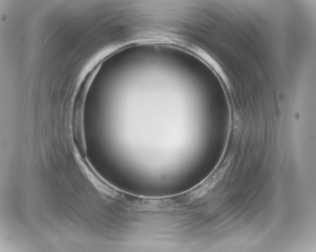 X0000081581485200701221015