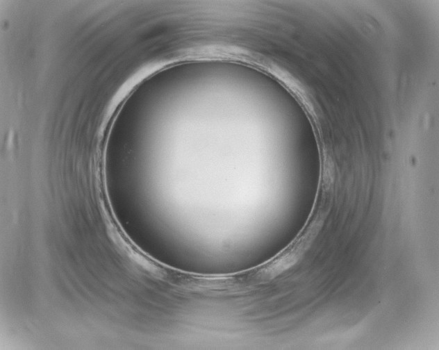 X0000081581486200701221015