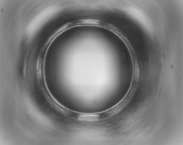 X0000081581487200701221015