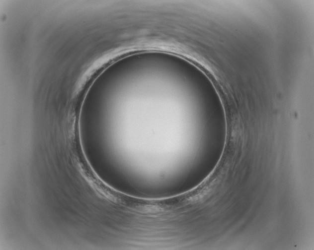 X0000081581507200701221015