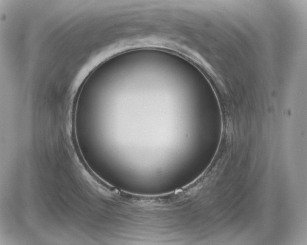 X0000081581512200701221015