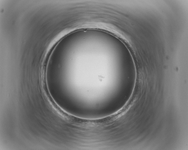 X0000081581517200701221015
