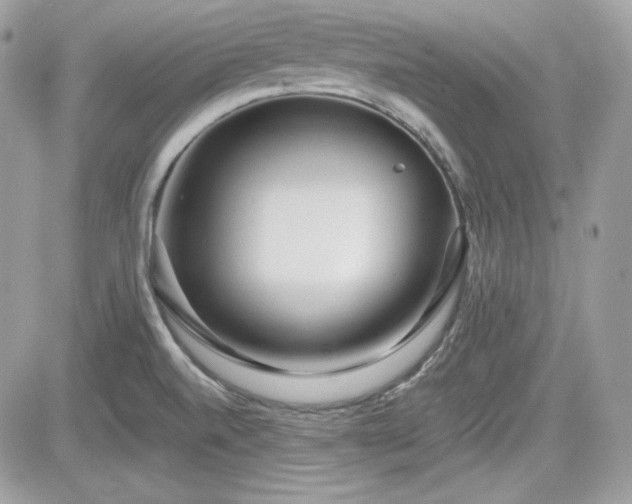 X0000081581520200701221015