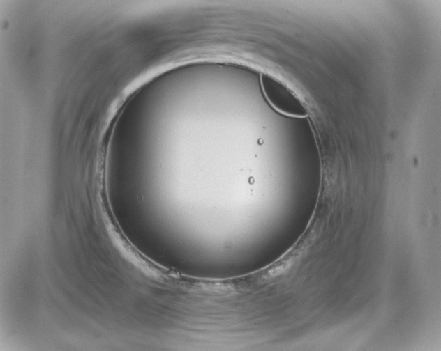 X0000081581526200701221015