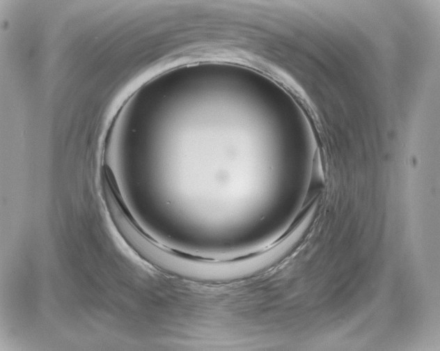 X0000081581528200701221015