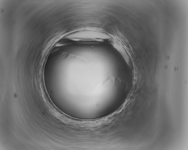 X0000081580001200701291252