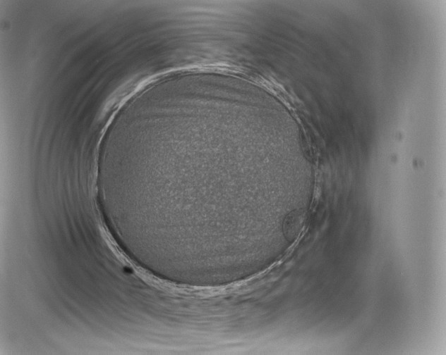 X0000081580002200701291252