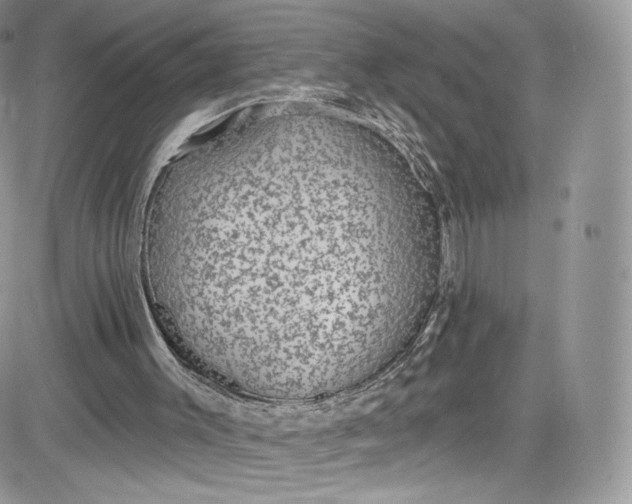 X0000081580003200701291252