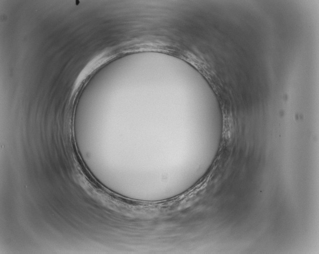 X0000081580004200701291252