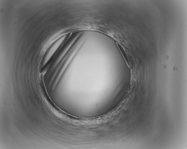 X0000081580005200701291252