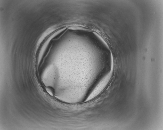 X0000081580006200701291252